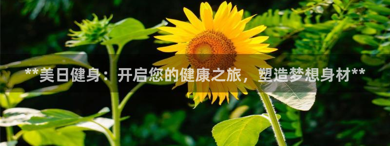 龙8游戏城网址
