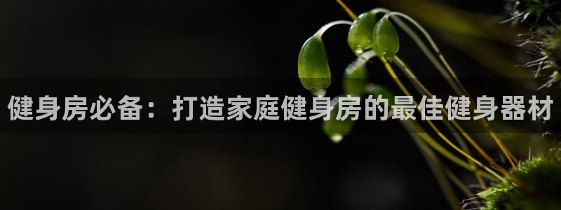 龙8国际头号玩家