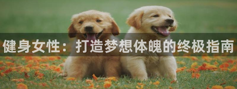 龙8国际电子平台