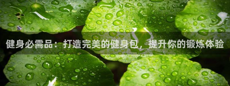 龙八国际娱