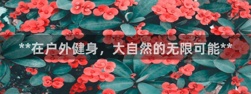 龙8国际为啥改名叫头号玩家了
