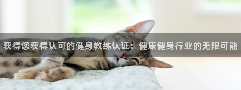 龙8国际手机登