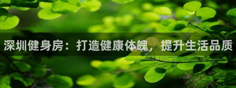龙8国际安卓官方版fxzls-1.2.1 -安卓