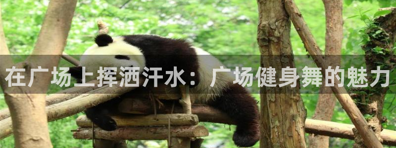 龙8娱乐官方老虎机中国大陆