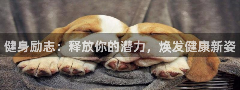 龙8棋牌官网