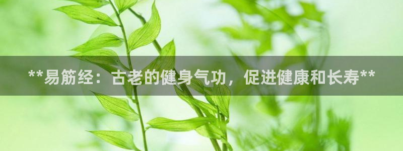 龙8国际棋牌
