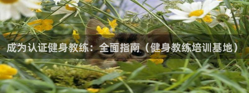 龙8国际玩家