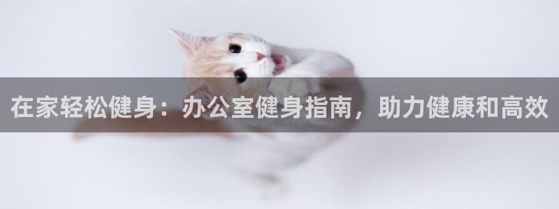 龙8国际手机版官网