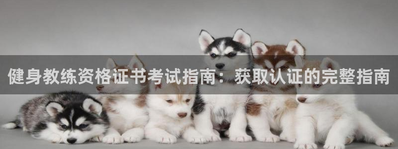 龙8国际app 下载