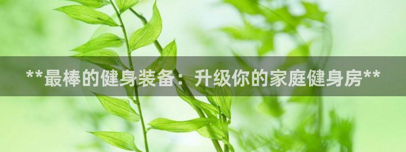 龙8国际试玩