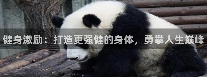 龙8国际手机版下载