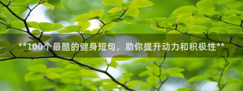 龙8游戏官网