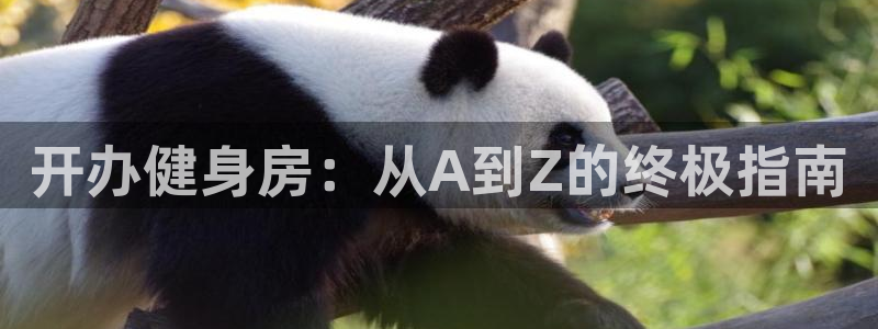 龙8国际手机版app