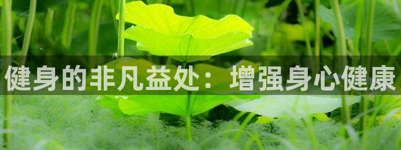龙8国际网址是什么