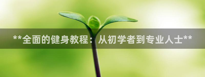 龙8国际官网娱乐
