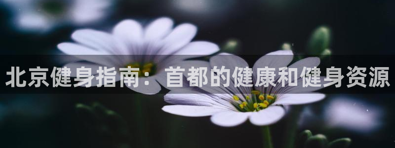 龙8国际2020官方网站