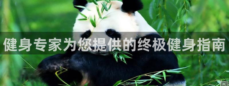 龙8国际long8龙8游戏