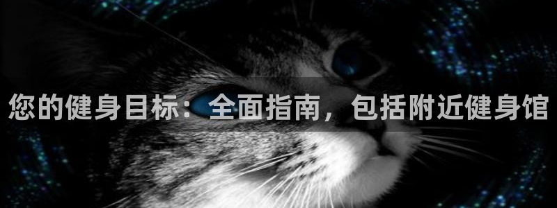 龙8国际app下载