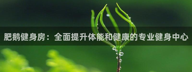 龙 八国际