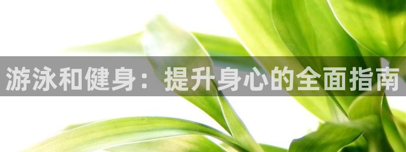龙8国际2023官方版fxzls安卓-1.2.9 -安卓