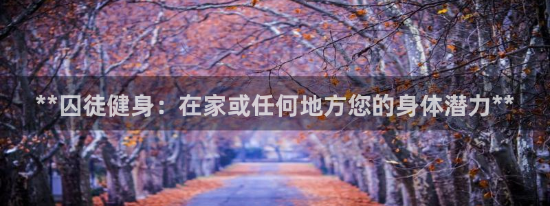 龙8国际app下载手机版