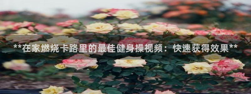 龙8国际手机登录|欢迎您的到来!