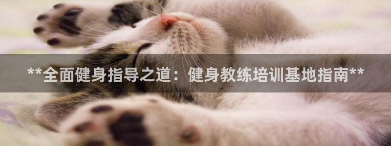 龙8官网手机登入口
