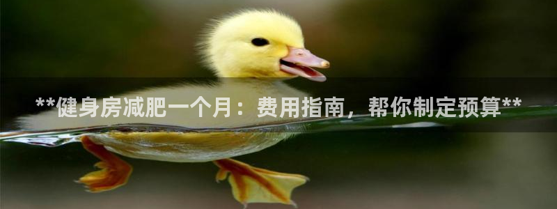 龙8国际手机官网下载