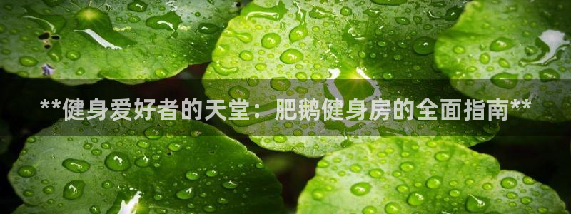 龙8唯一官网
