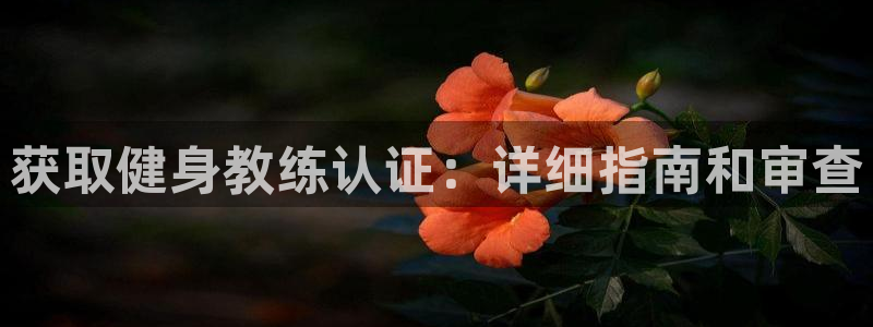 龙8国际中国