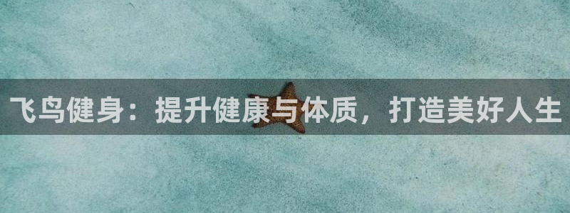 龙8app 国际