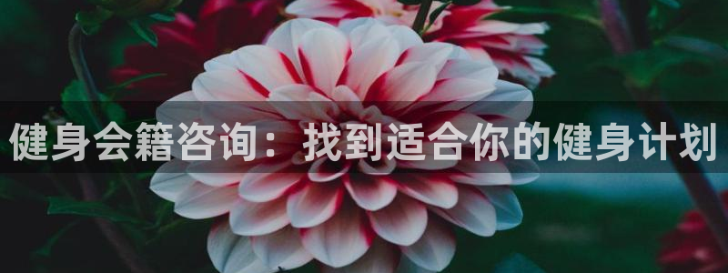 龙8游戏平台的网站
