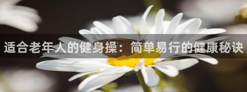龙8国际版
