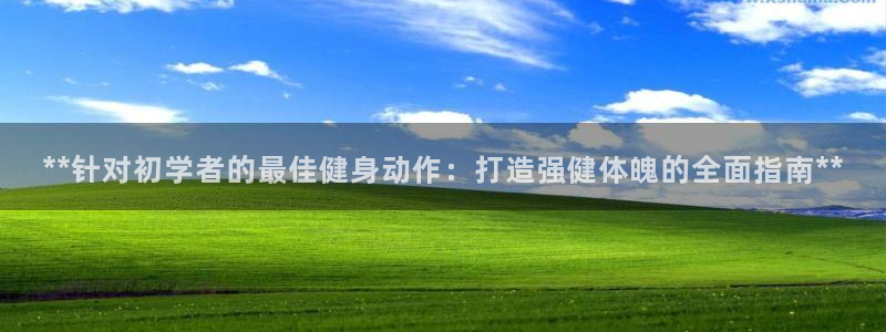 龙8国际com