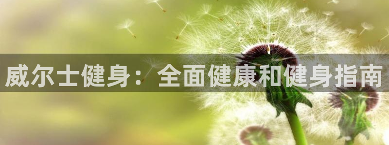 龙八国际娱乐网页多少