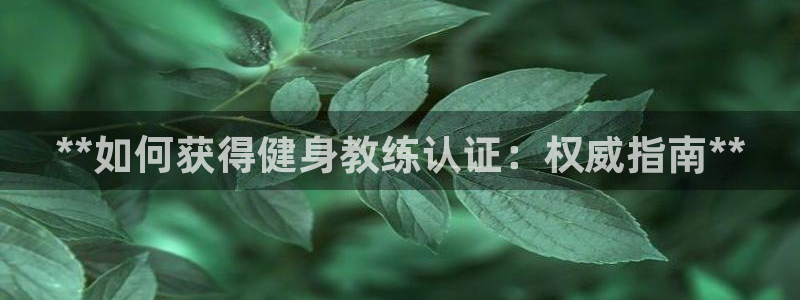 龙八国际2018最新官网