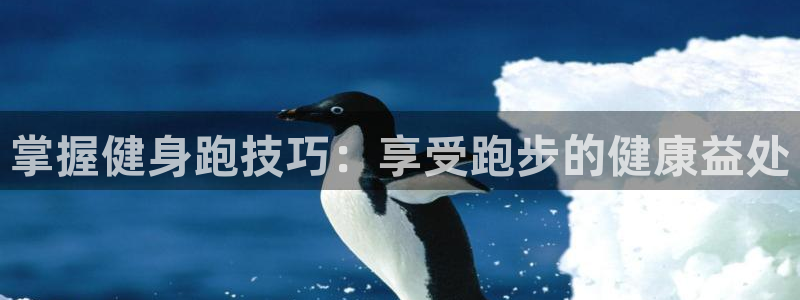 龙8国际的漏洞