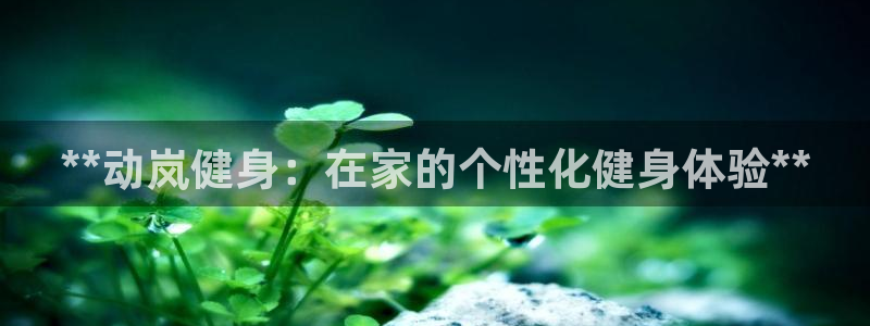 龙8国际官网正版
