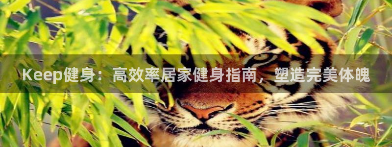 龙8国际怎么样