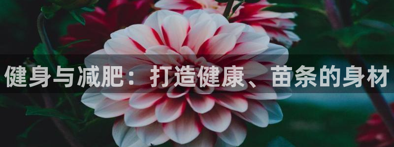 龙8国际唯一