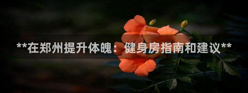 龙8国际官方网站