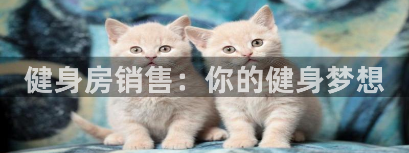龙8国际网站是多少