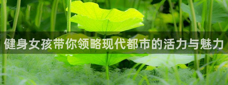 国际龙8下载