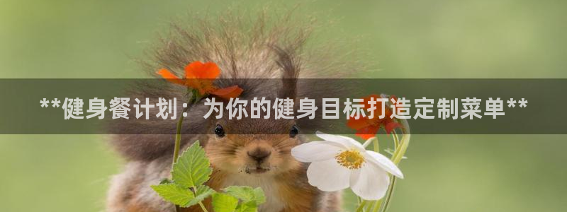 龙8国际下载