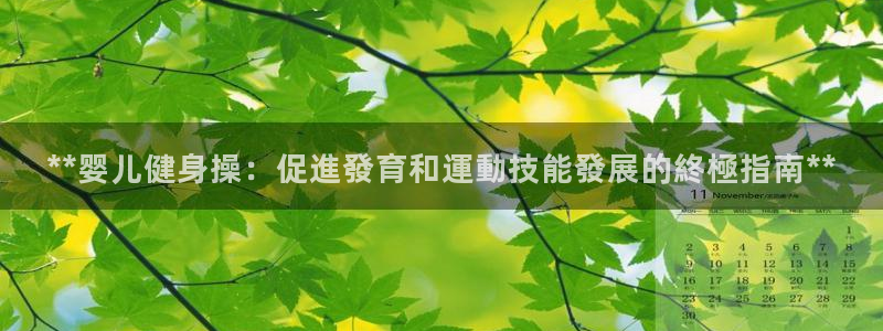 龙8官网国际