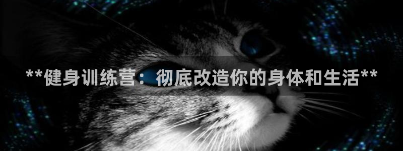 龙8国际官网app下载