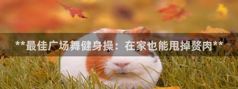 龙8国际手机游戏官网版