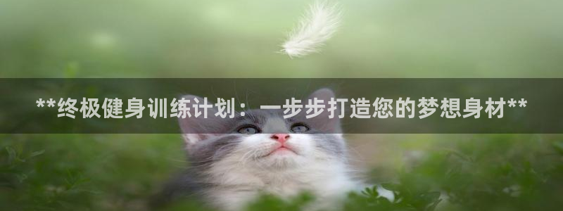 龙8国际登录网址推荐ag87253