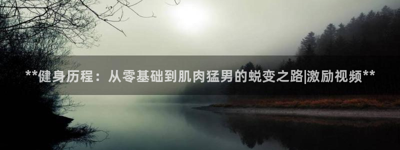 龙八国际娱乐官方网站