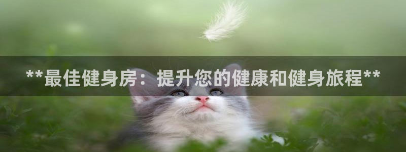 龙8-龙国际-long8-龙8游戏